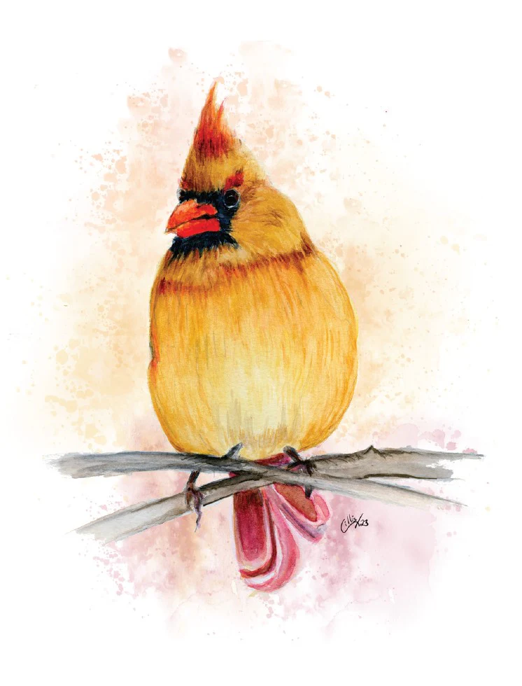 Cards by Jacinta INK - Image 53