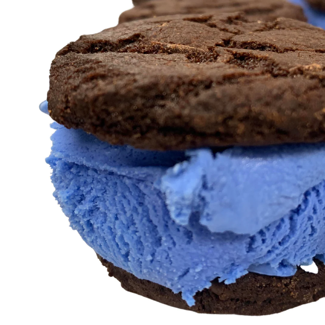 Ice Cream Sandwiches! - Image 19